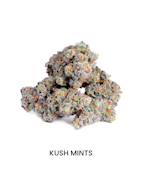 CAM Flower 3.5 - Kush Mints 33%
