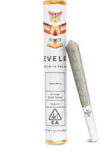 Reverly - Revelry Preroll 1g 2Pk (0.5g each) - Oasis Mints 23% 