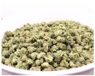 Monroe Cultivaiton - Monroe Cultivation - Blueberry Fuego 7G SMALL BUD