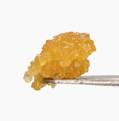 WCC Live Resin Sugar - Cheetah Piss 91%