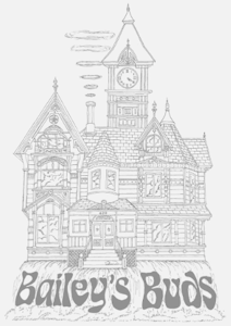 BAILEY'S BUDS - Chemdawg Punch 29% TAC | Pre-Ground 7g | TAXES INCLUDED