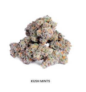CAM - CAM Indoor Flower 1g - Kush Mints 36%