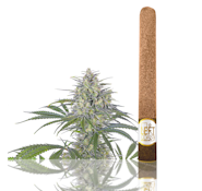 Left Coast Infused Blunt 2.2g - Orange Creamsicle 28%