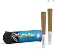 Animal - Blueberry Pie - 1g- Infused Preroll