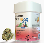Coastal Sun Flower 7g - Strawberry Patch 26%