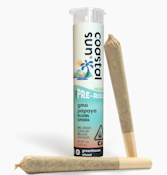 Coastal Sun Infused Prerolls 2pk 1.5g - GMO Papaya 54%