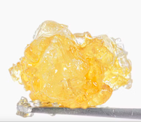 Orange Creamsicle - Live Resin Sugar - 1g - West Coast Cure