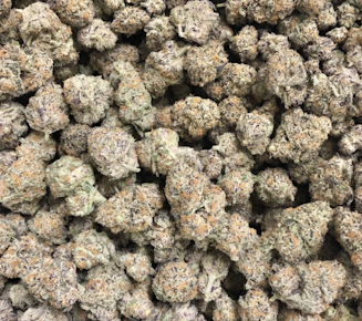 Pure Canna - Permanent Marker 28G