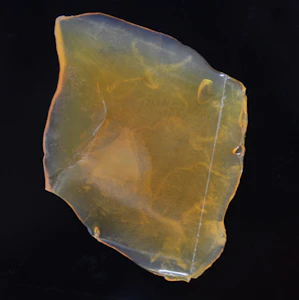 Midsfactory - Midsfactory Shatter 1g - White Truffle 81%