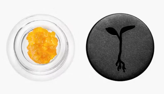 Raw Garden - Raw Garden Live Resin - Rose 89%