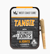 WCC 6pk Prerolls 2.1g - Tangie 24%