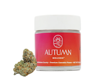 Wedding Cake - Flower Jar - 3.5g - Autumn Brands