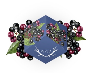 Wyld Gummies - Elderberry| 2:1 CBN | Wyld Gummies