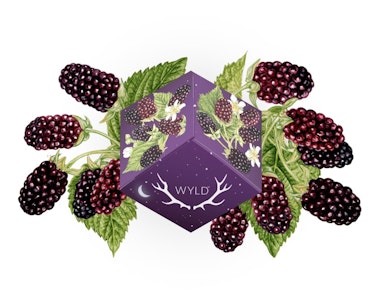 Wyld Gummies - Boysenberry | 1:1:1 | Wyld Gummies