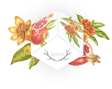 Wyld Gummies - Pomegranate | 1:1 |  Wyld Gummies