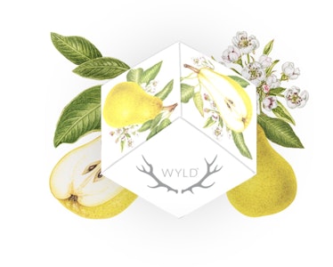 Wyld Gummies - Pear | 1:1 CBG | Wyld Gummies