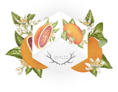 Wyld Gummies - Blood Orange | 1:1 CBC | Wyld Gummies