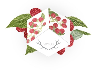 Wyld Gummies - Raspberry | Sativa |  Wyld Gummies