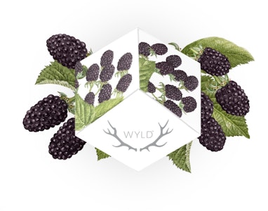 Wyld Gummies - Marionberry | Indica | Wyld Gummies