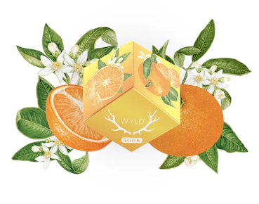 Sour Tangerine | Hybrid | Wyld Gummies
