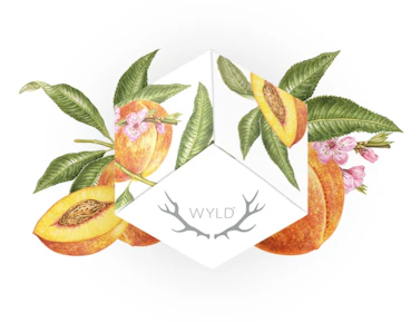 Peach | CBD 2:1 | Wyld Gummies