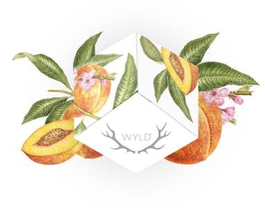 Wyld Gummies - Peach | CBD 2:1 | Wyld Gummies