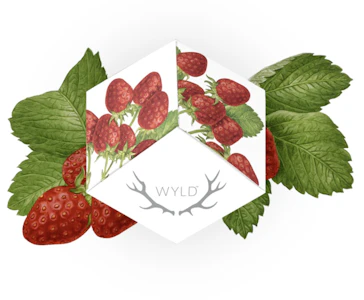 Wyld Gummies - Strawberry | CBD 20:1 | Wyld Gummies