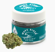 WAVE RIDER: *SPECIAL* Runtz 3.5g (H)