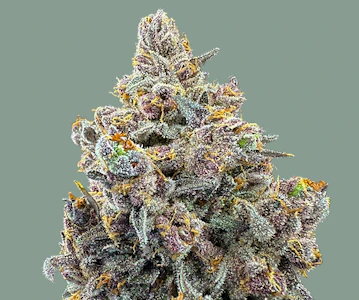 Trifecta Farms - Fruit Pebblez - 14g - Trifecta Farms