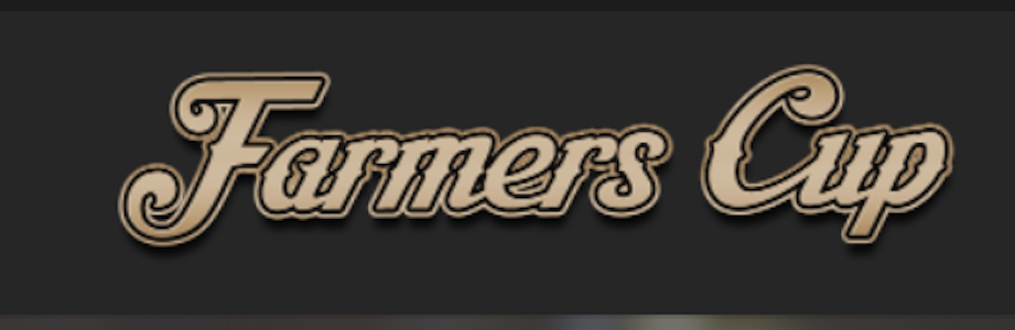 FARMERS CUP - Farmers Cup Indoor Flower 4g - Donny Burger 34%