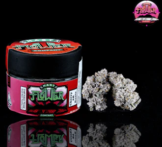 Shasta Flower - Shasta Indoor Flower 3.5g - Dirty Girl Runtz 23%