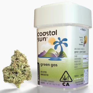 COASTAL SUN - Coastal Sun Greenhouse 3.5g - Green Gas 24%