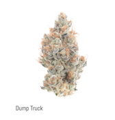 T.E.G. Indoor Flower 3.5g - Dump Truck 28%