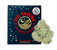 Rock Tarts - Flower Jar - 3.5g - Fig Farms