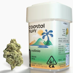 Coastal Sun - Coastal Sun Flower 3.5g - Rollinia 36%