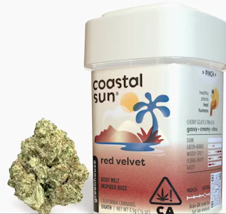 COASTAL SUN - Coastal Sun Flower 3.5g - Red Velvet 34%