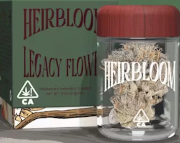 Original Glue | 3.5g | Heirbloom by CBX