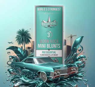 Presidential x Platinum Vape - 0.7G Presidential Mini Blunts (3 Pack)