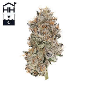 Harbor House - Runtz - 3.5g - Harbor House