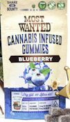Most Wanted Blueberry CBD Gummies 6:1