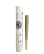 Lemon Candy Haze - 1g - Fresh Connection