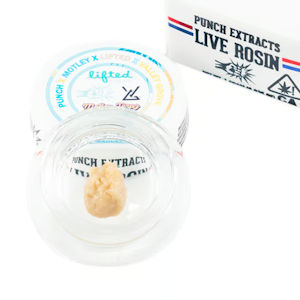 Punch - Pineapple Scoby Tier 4 | 1g Rosin Badder | Punch Extracts