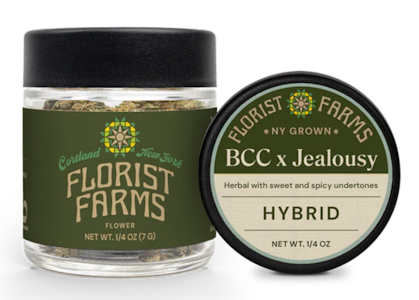 FLORIST FARMS - Florist Farms - BCC Jealousy - 7g - Flower