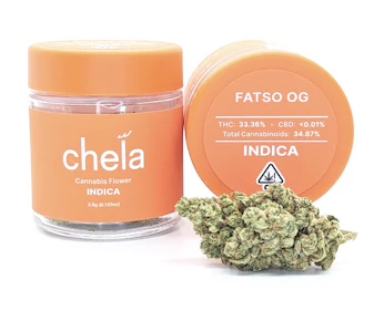 Fatso OG | 3.5g Jar | Chela Light
