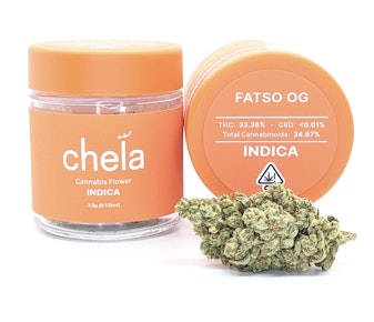 Fatso OG | 3.5g Jar | Chela Light