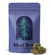 [REC] Kind Tree | Dirty Taxi | 7g Littles