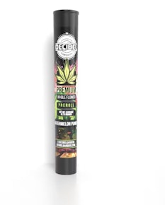 Watermelon Punch | Pre-Roll | Decibel Gardens