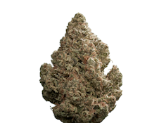 Florette - Super Yuzu - 3.5g - Flower