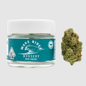 Wave Rider - White Runtz (H) | 3.5g Jar | Wave Rider
