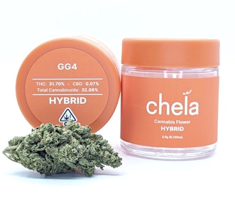 GG4 | 3.5g Jar | Chela Light